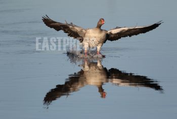 EA345580, Eastpress, Hamina, Finland